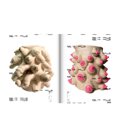 #ISSUE 004 VISION